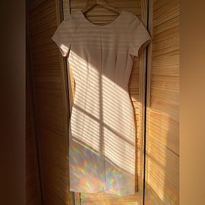 Zara Form Fitting Blush Dress, Size XS